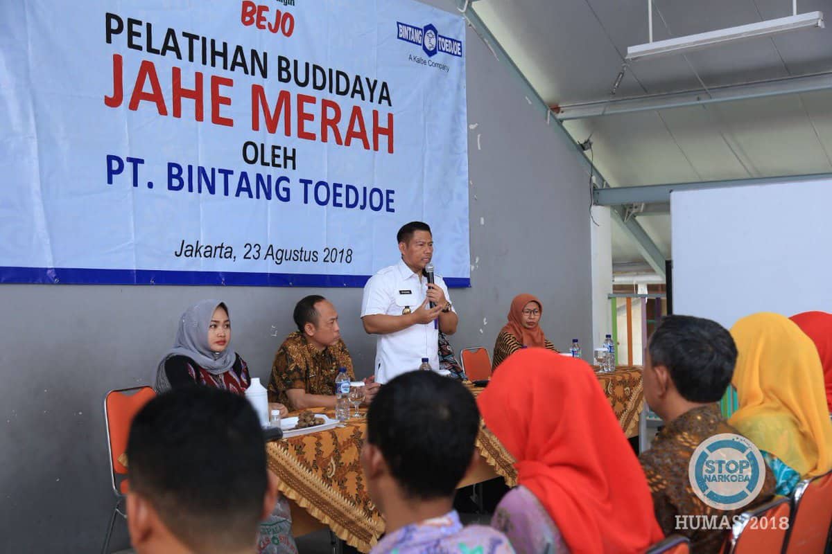 Pelatihan Budi Daya Jahe Merah oleh BNN dan Bintang Toedjoe