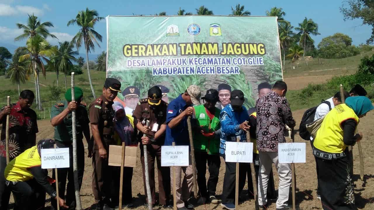 IMPLEMENTASI PROGRAM GDAD DI ACEH BESAR TAHUN 2019