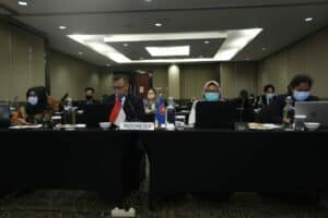 Laporan Perwakilan Delegasi Indonesia Pada Pertemuan ASEAN Drug Monitoring Network (ADMN)