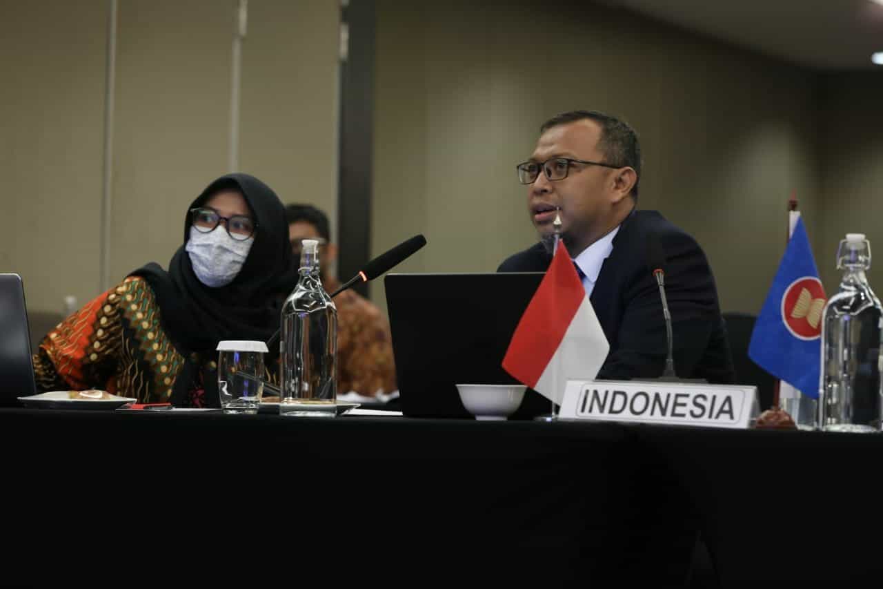 Laporan Perwakilan Delegasi Indonesia Pada Pertemuan ASEAN Drug Monitoring Network (ADMN)