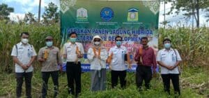 Panen Jagung Hibrida GDAD, BNN bersama Dinas Pertanian Provinsi Aceh, Dinas Pertanian Kab. Aceh Besar dan Owner PT Golden Daru Utama (GDU)