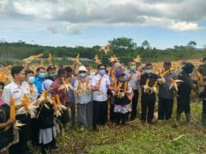 Panen Jagung Hibrida GDAD, BNN bersama Dinas Pertanian Provinsi Aceh, Dinas Pertanian Kab. Aceh Besar dan Owner PT Golden Daru Utama (GDU)