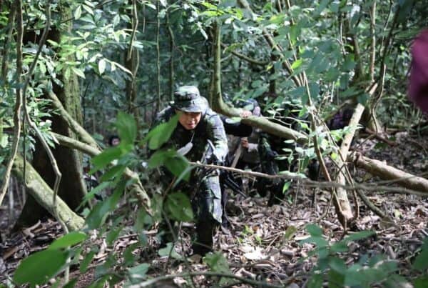 Jalur Terjal Dan Tanaman Beracun, Jadi Tantangan BNN Musnahkan Ladang Ganja 907bbc26 daa6 4388 865c a670506b07e3
