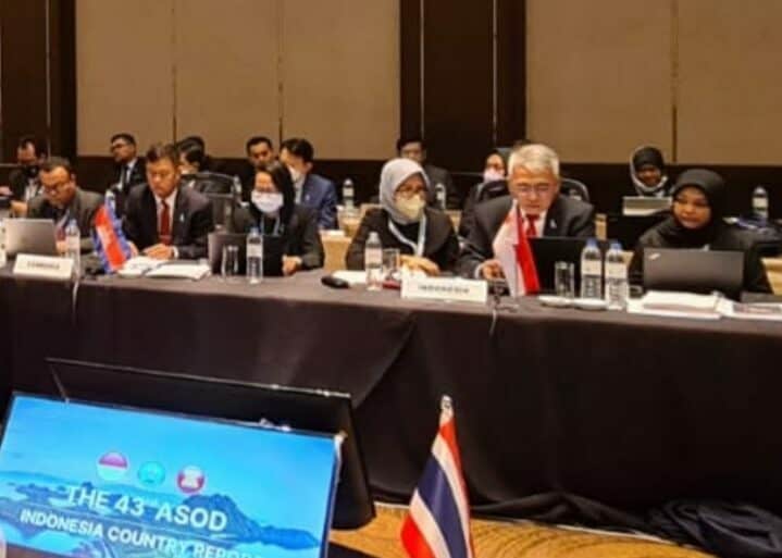 Working Group Pertemuan ASEAN Senior Official Meeting on Drug Matters (ASOD) ke 43