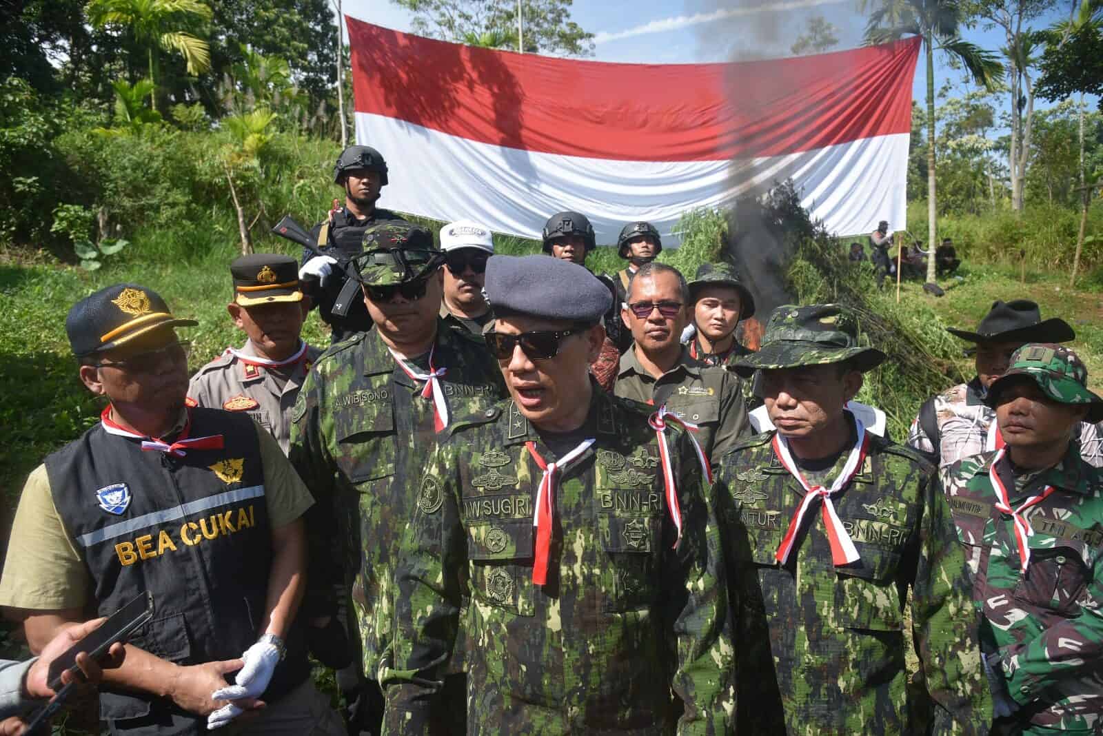 JELANG HARI KEMERDEKAAN REPUBLIK INDONESIA, BNN RI MUSNAHKAN LADANG GANJA DI ACEH UTARA