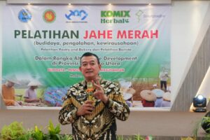 Bimbingan Teknis Life Skill Jahe Merah Pada Masyarakat Kawasan Rawan Narkoba di Medan Provinsi Sumatera Utara