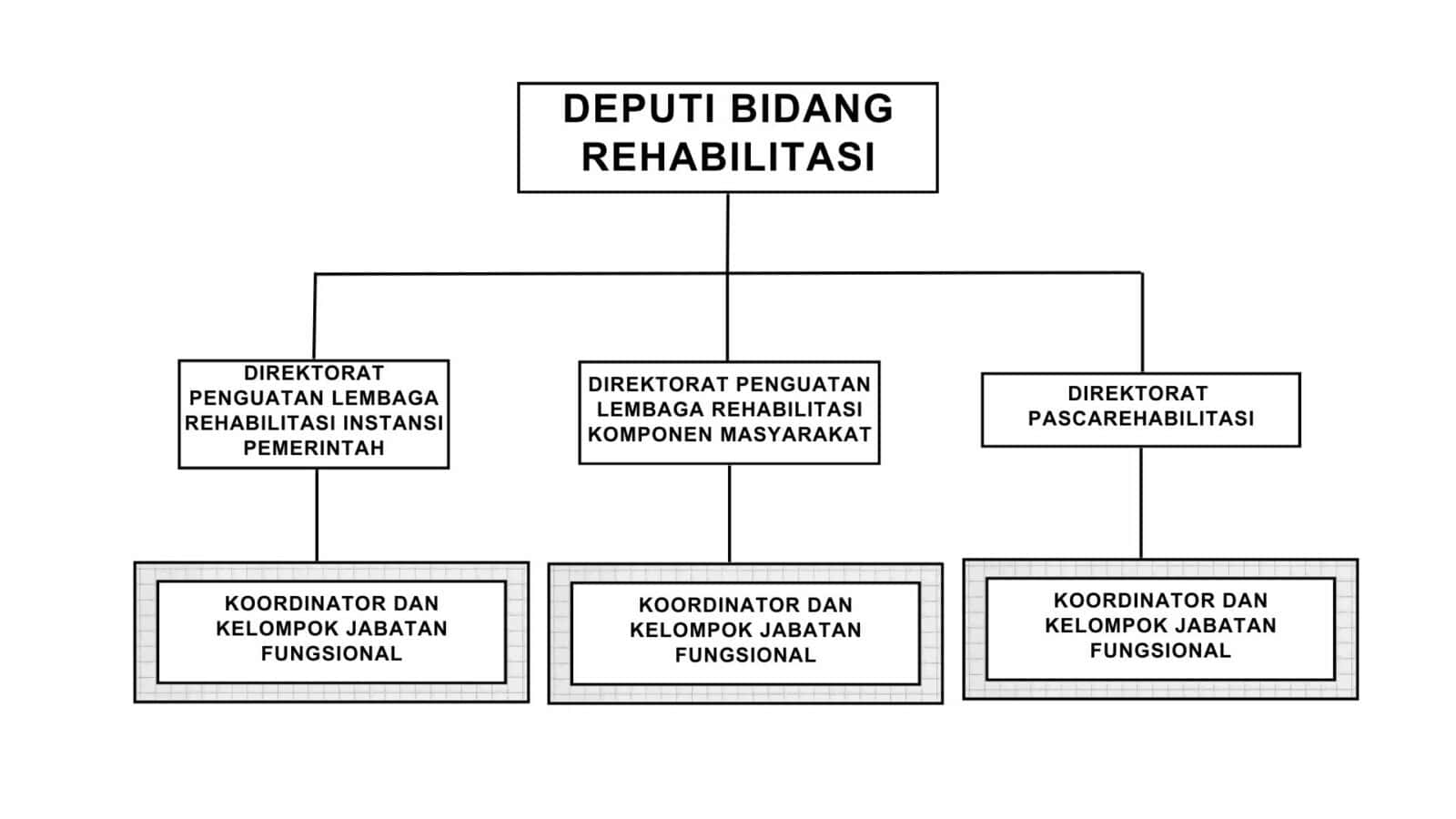Deputi Bidang Rehabilitasi
