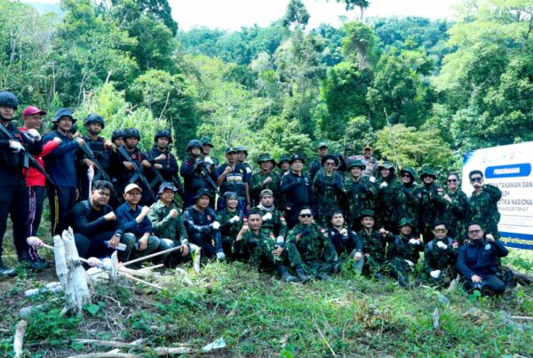 BNN RI MUSNAHKAN 2 HEKTARE LAHAN GANJA DI ACEH BESAR