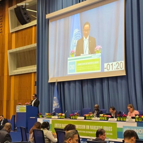 KEPALA BNN PIMPIN DELEGASI RI DI CND WINA, DORONG PENDEKATAN BERIMBANG PENANGANAN NARKOTIKA