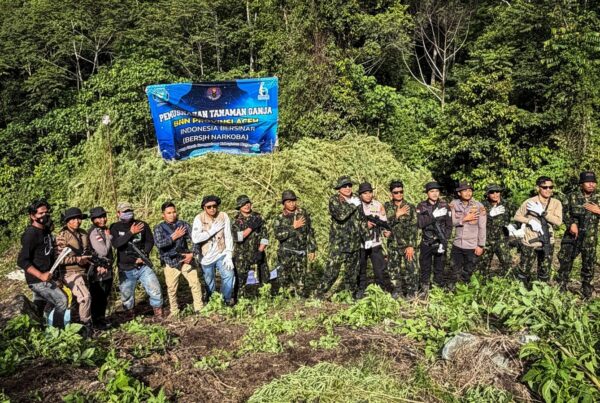 JELANG HUT KE-81 RI, BNN JAGA BANGSA DARI NARKOTIKA DENGAN MEMUSNAHKAN 12 HEKTARE LAHAN GANJA