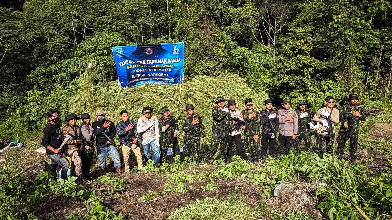 JELANG HUT KE-81 RI, BNN JAGA BANGSA DARI NARKOTIKA DENGAN MEMUSNAHKAN 12 HEKTARE LAHAN GANJA